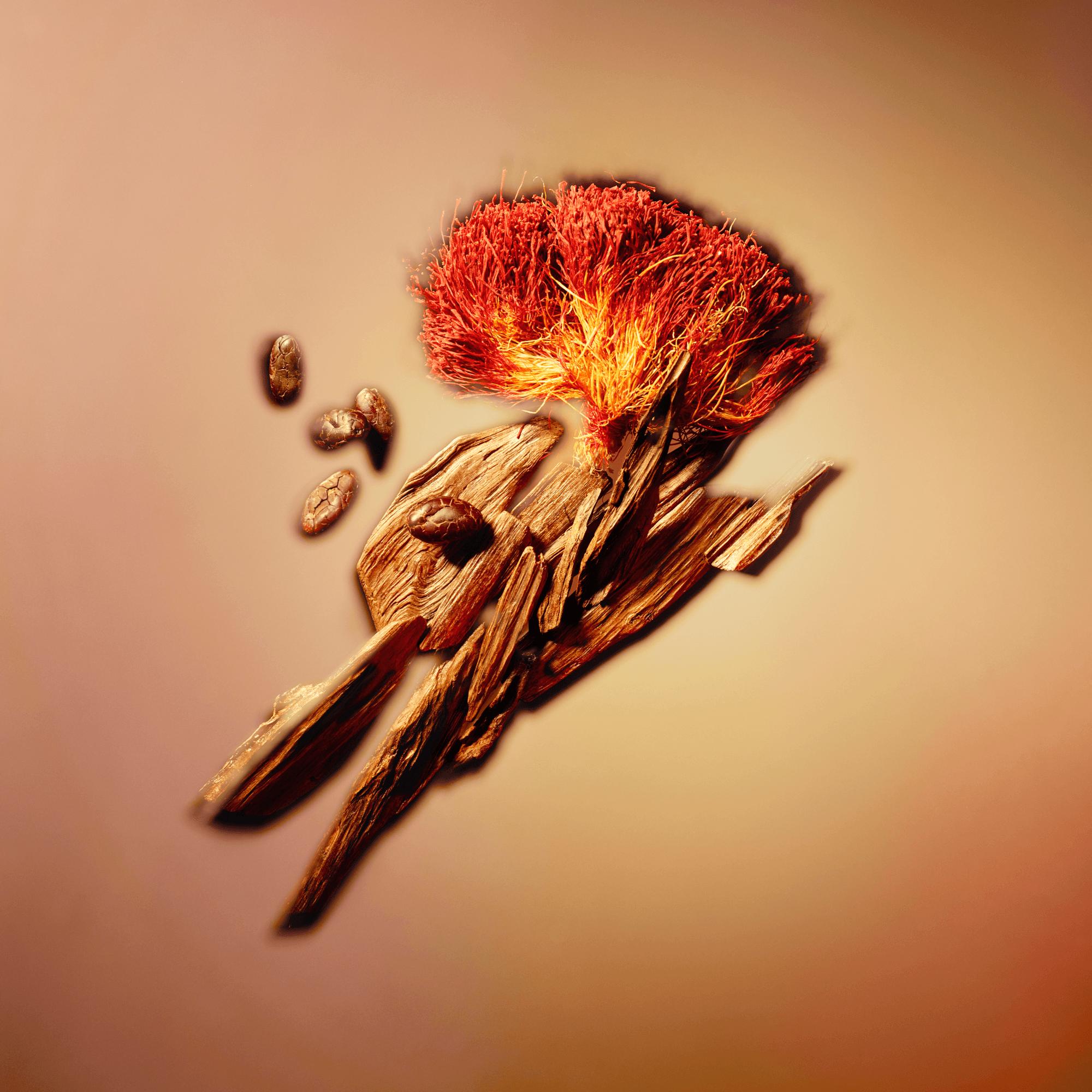 LOUIS VUITTON NOUVEAU MONDE オード パルファン ヌーボー・モンド オードゥ パルファン ｜ルイ・ヴィトン 公式サイト